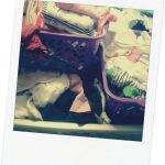 office mum post: laundry