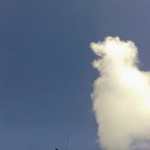 office mum :  blue sky