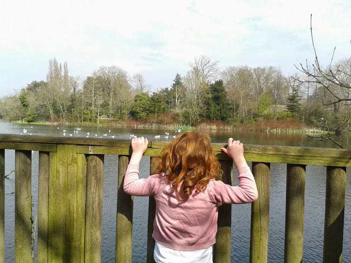 At the zoo - Office Mum