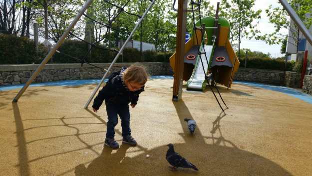 Bird Man - Office Mum