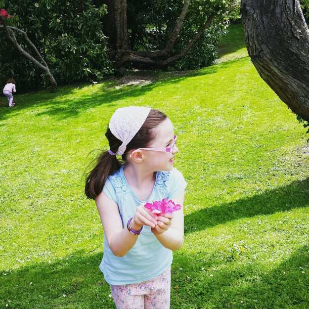 Garden in Avoca Kilmacanogue - Office Mum