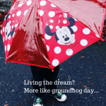 November rain - office mum