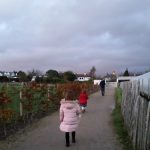 Airfield Christmas at dusk - Office Mum