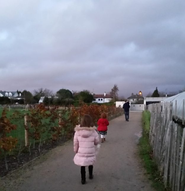 Airfield Christmas at dusk - Office Mum