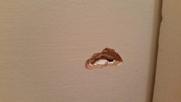 Today's rollerskating damage: a hole in the sitting room door