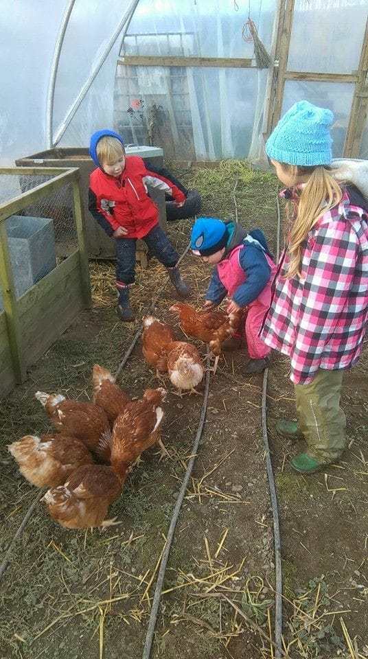 Easthill Farm - Anna Boch - Office Mum