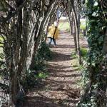 Cabinteely Park - Office Mum