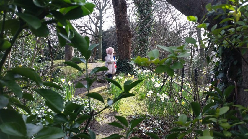 Stephen's Green - Office Mum