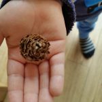 Pineky the pine cone - office mum