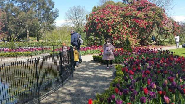 Gardens Wells House - Office mum