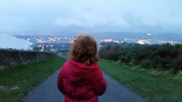 winter on Killiney Hill - Office Mum
