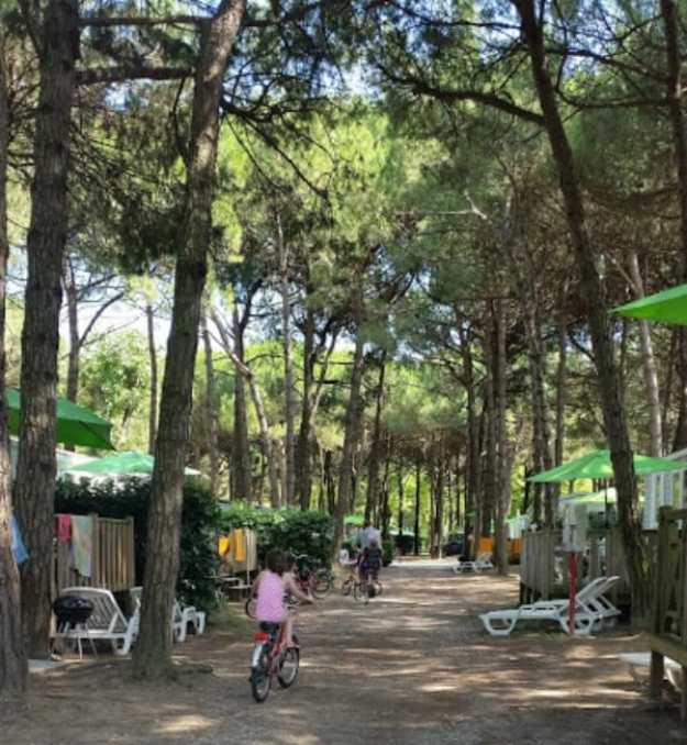 Marina 2000 in Marina di Venezia - Office Mum