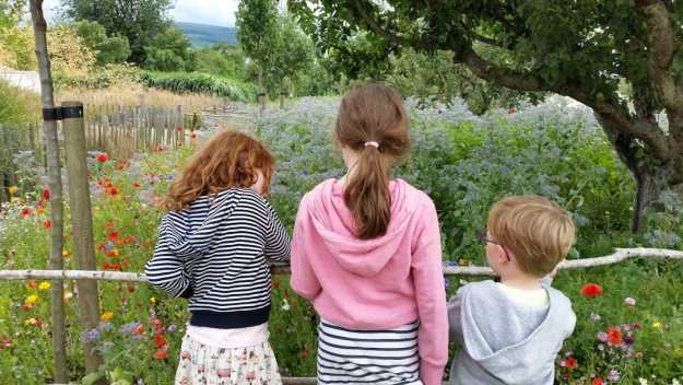 Airfield - Office Mum