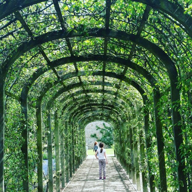 Marley Park walled garden - Office Mum