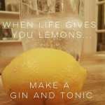 When life gives you lemons - Offie Mum