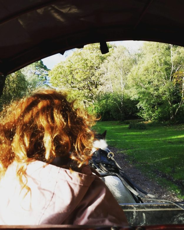 Jaunting car Muckross - Office Mum