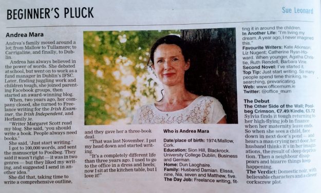 The other side of the wall Andrea Mara Beginner's Pluck