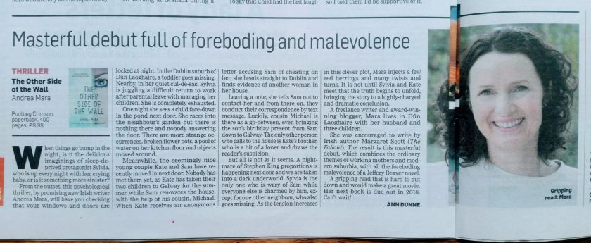 Andrea Mara The Other Side of the Wall Review