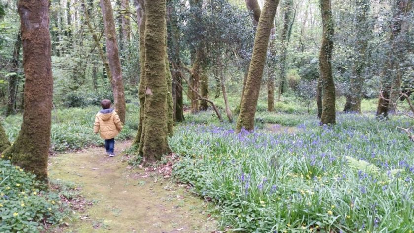 Inish Beg Estate - Office Mum