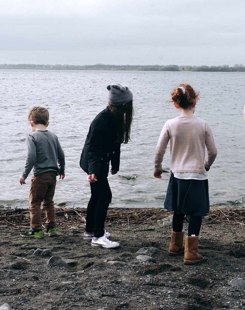 Lough Ennell Belvedere House - Office Mum