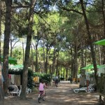 Marina di Venezia Andrea Mara Office Mum