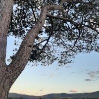 The not-at-all definitive guide to holidaying in Kenmare